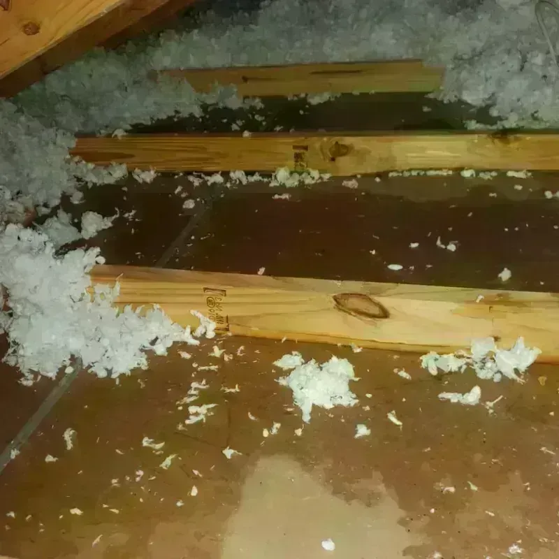 Attic Water Damage in Sleepy Hollow, CA